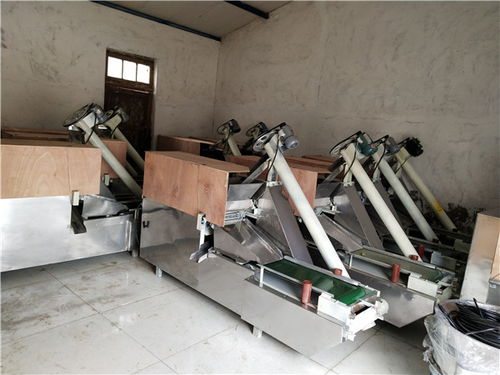 贛州正宗皮蛋機(jī)器變蛋制作有機(jī)器嗎性價比高 豫遠(yuǎn)食品高清圖片 高清大圖